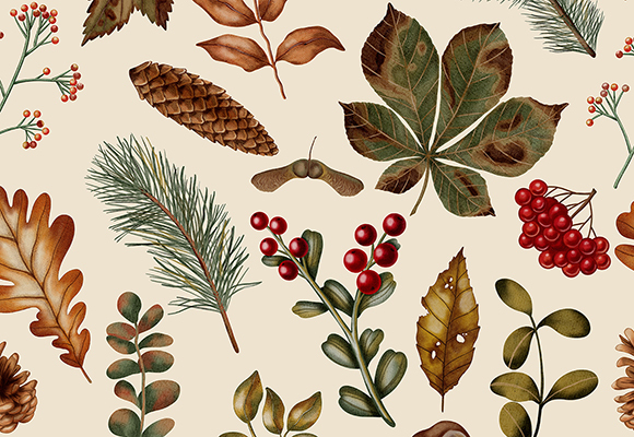 圖案速遞：林間拾秋