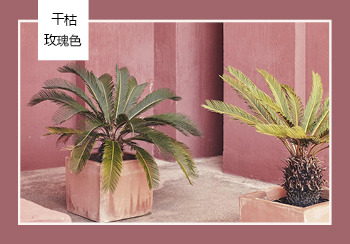 19/20秋冬家紡關鍵色彩推薦&mdash;干枯玫瑰色