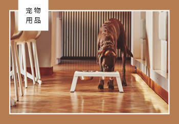 19/20秋冬寵物用品關鍵單品推薦
