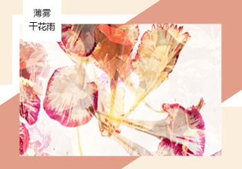 20/21秋冬家紡花型&圖案趨勢(shì)預(yù)測(cè)--薄霧干花雨（矢量）