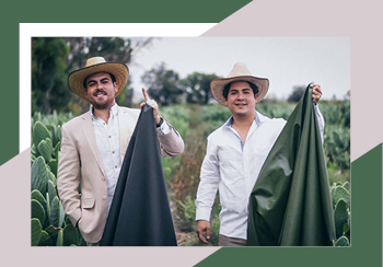 2022春夏軟裝面料趨勢預(yù)測--自然保護