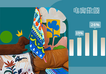 電商數據｜2月家居布藝熱賣數據分析 
