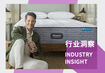 睡眠產(chǎn)品行業(yè)洞察（二）