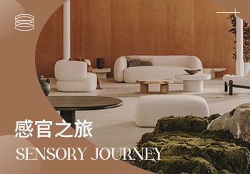 24/25秋冬家居趨勢(shì)預(yù)測(cè)--感官之旅