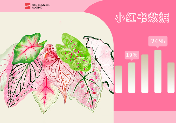 11月小紅書熱門圖案話題榜單推薦