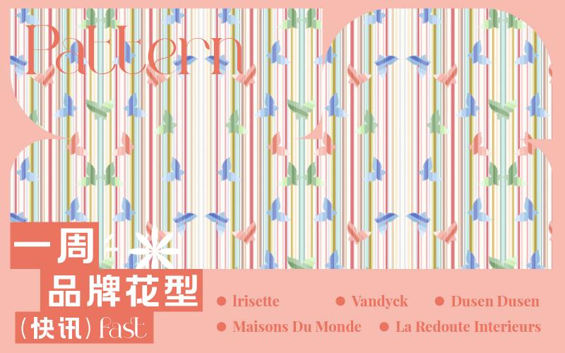 一周品牌花型快訊（矢量）