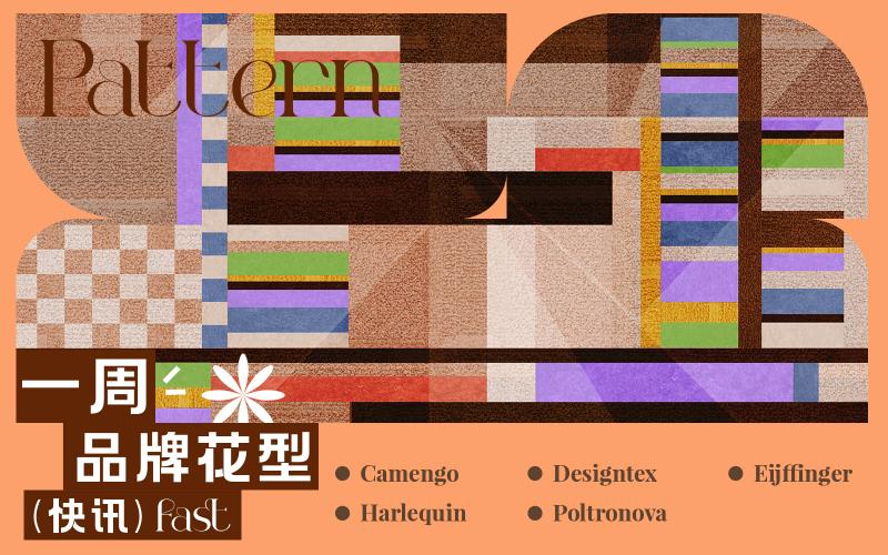 一周品牌花型快訊（矢量）