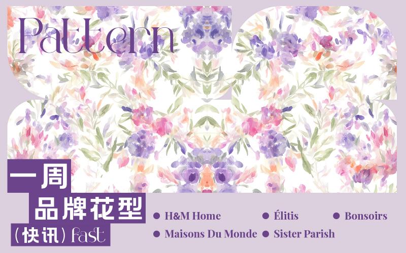 一周品牌花型快訊（矢量）