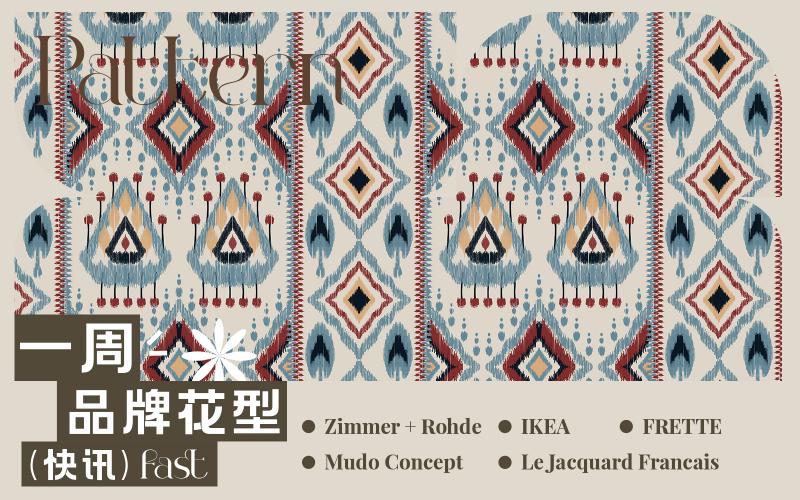 一周品牌花型快訊（矢量）