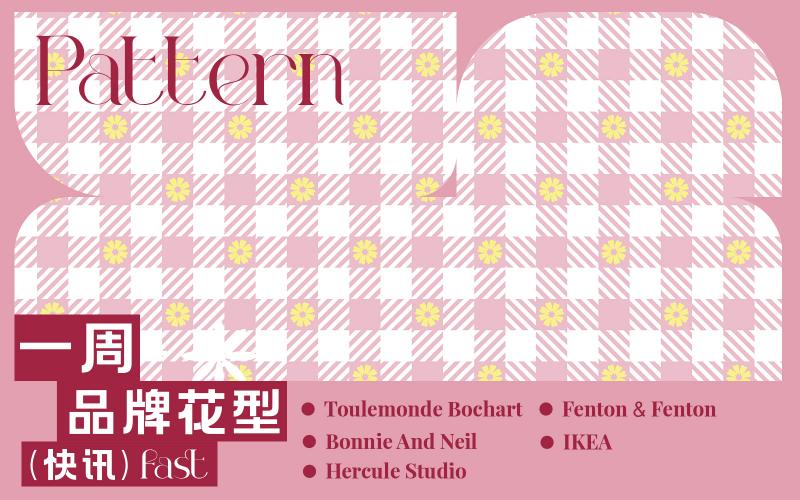 一周品牌花型快訊（矢量）