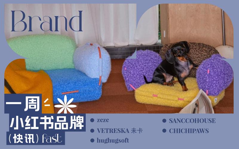 小紅書熱門品牌快訊
