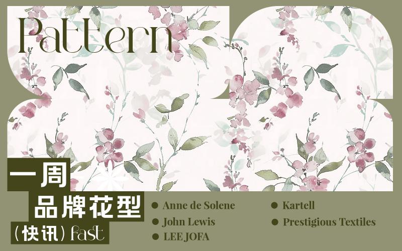 一周品牌花型快訊（矢量）