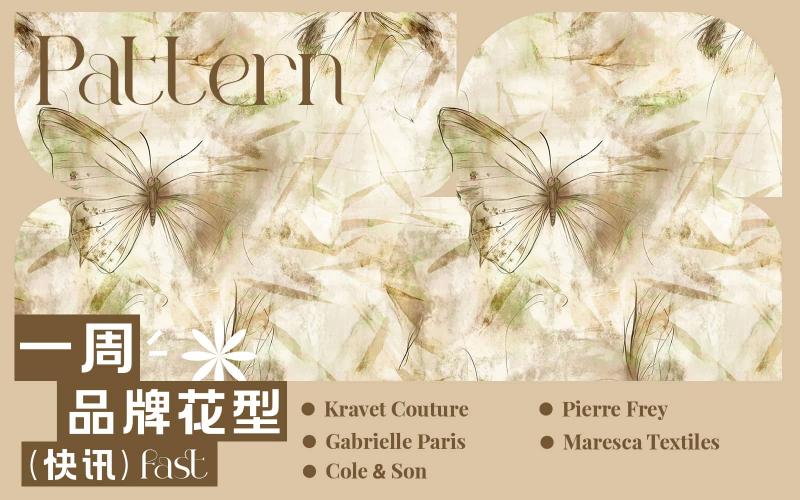 一周品牌花型快訊（矢量）