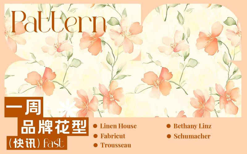 一周品牌花型快訊（矢量）