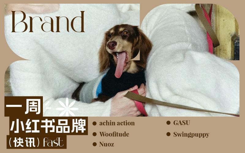 小紅書熱門品牌快訊