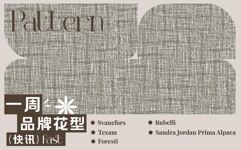 一周品牌花型快訊（矢量）