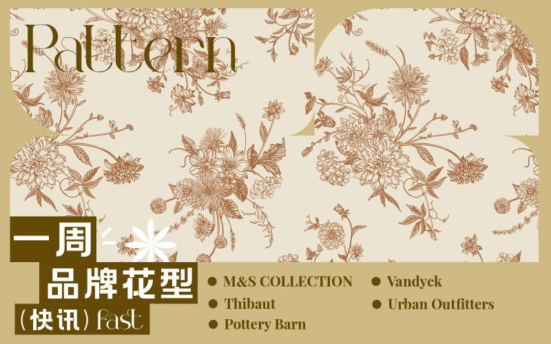一周品牌花型快訊（矢量）