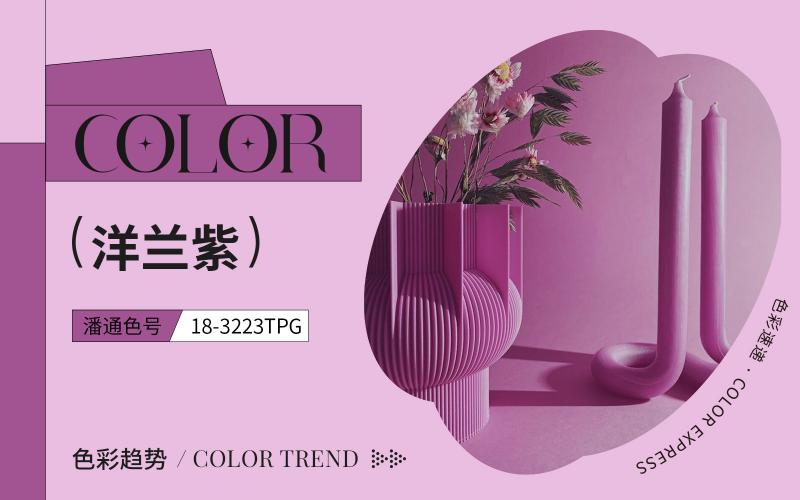 色彩速遞 | 洋蘭紫