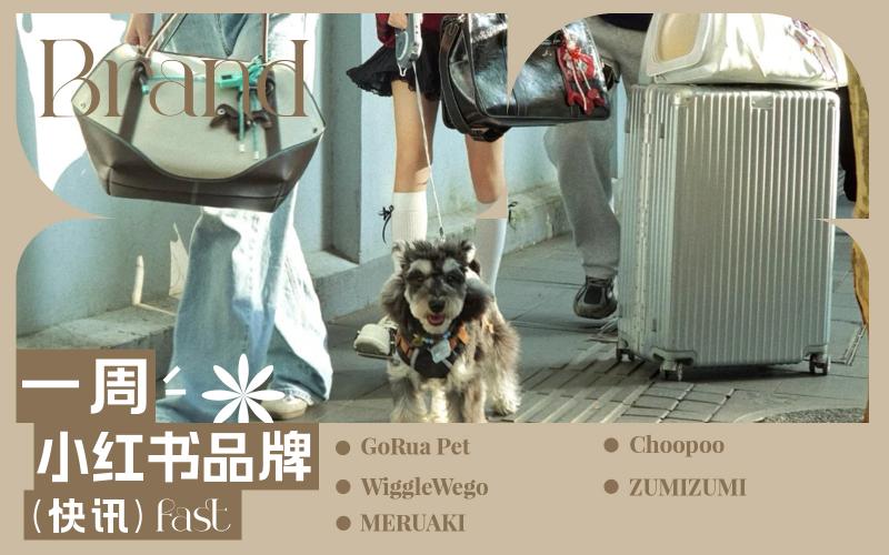 小紅書熱門品牌快訊