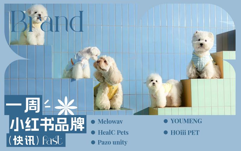 小紅書熱門品牌快訊