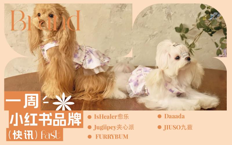 小紅書熱門品牌快訊