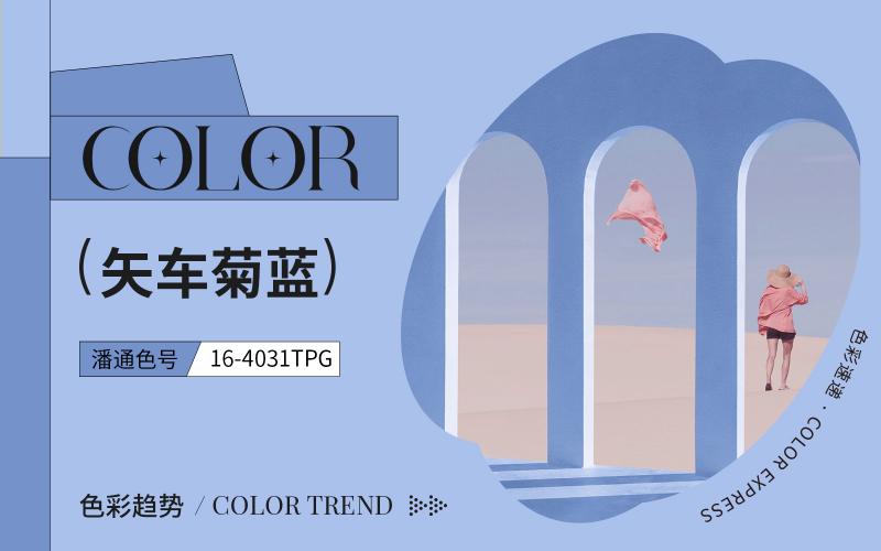 色彩速遞 | 矢車菊藍(lán)