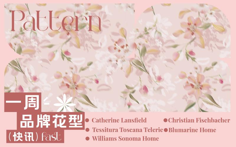 一周品牌花型快訊（矢量）