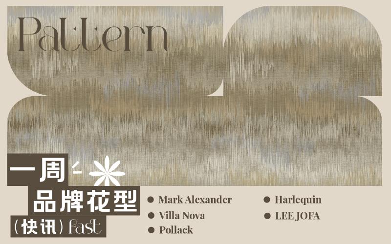 一周品牌花型快訊（矢量）