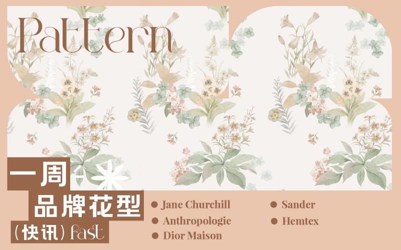 一周品牌花型快訊（矢量）