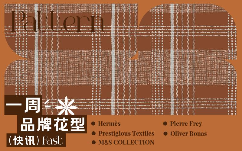 一周品牌花型快訊（矢量）