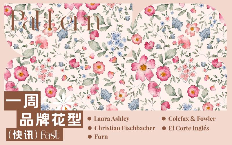 一周品牌花型快訊（矢量）