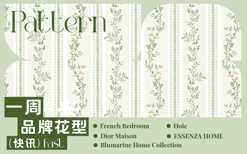 一周品牌花型快訊（矢量）