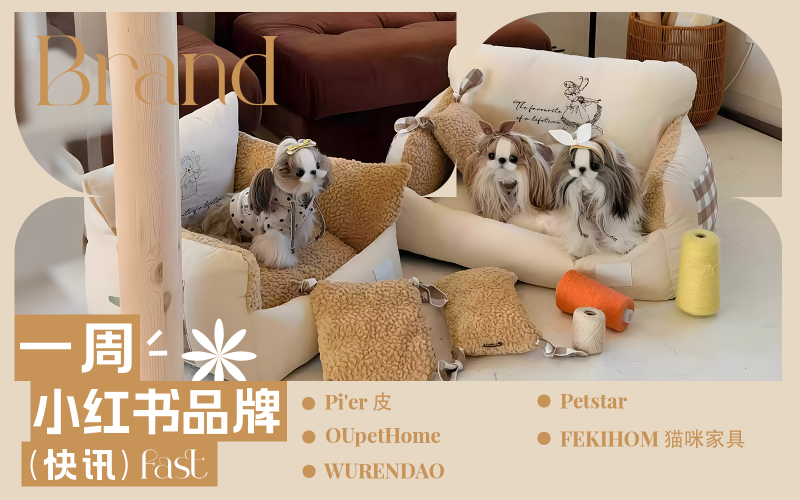 小紅書(shū)熱門(mén)品牌快訊